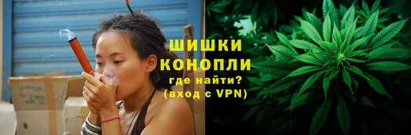молекула духа Нягань