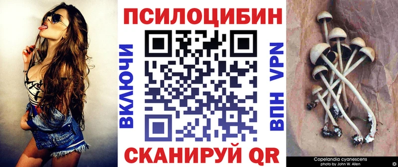 как найти наркотики  KRAKEN зеркало  Галлюциногенные грибы мицелий  Слюдянка 